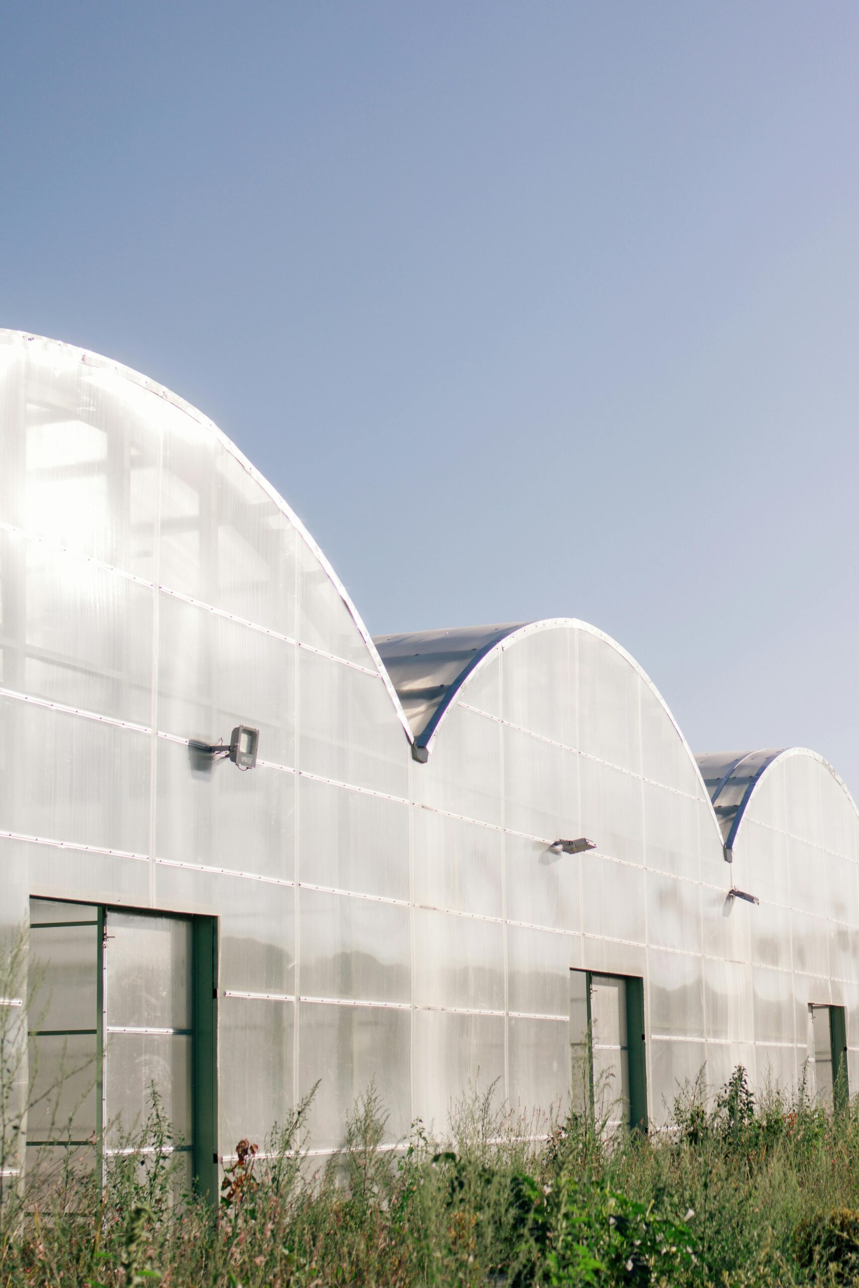 Minimalist view of arched greenhouses in a rural setting under a bright blue sky.